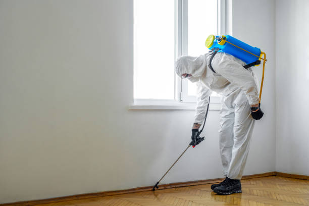 Best Organic or Eco-Friendly Pest Control  in Ke Providence, LA